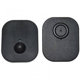 WhatsApp Image 2021-10-13 at 7.31.14 PM (1)